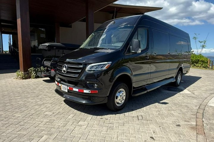 Hotel Transfers to Liberia Airport: Hilton & Río Perdido - Photo 1 of 25